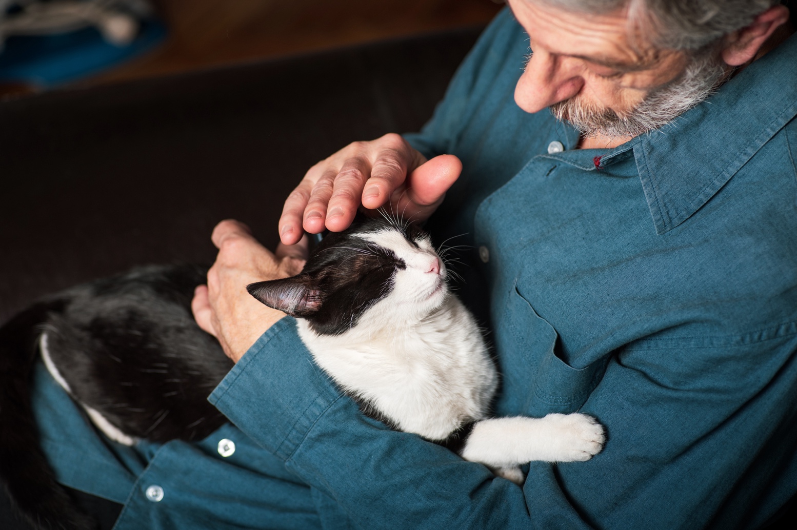 A senior man in a teal shirt pets a black and white cat.