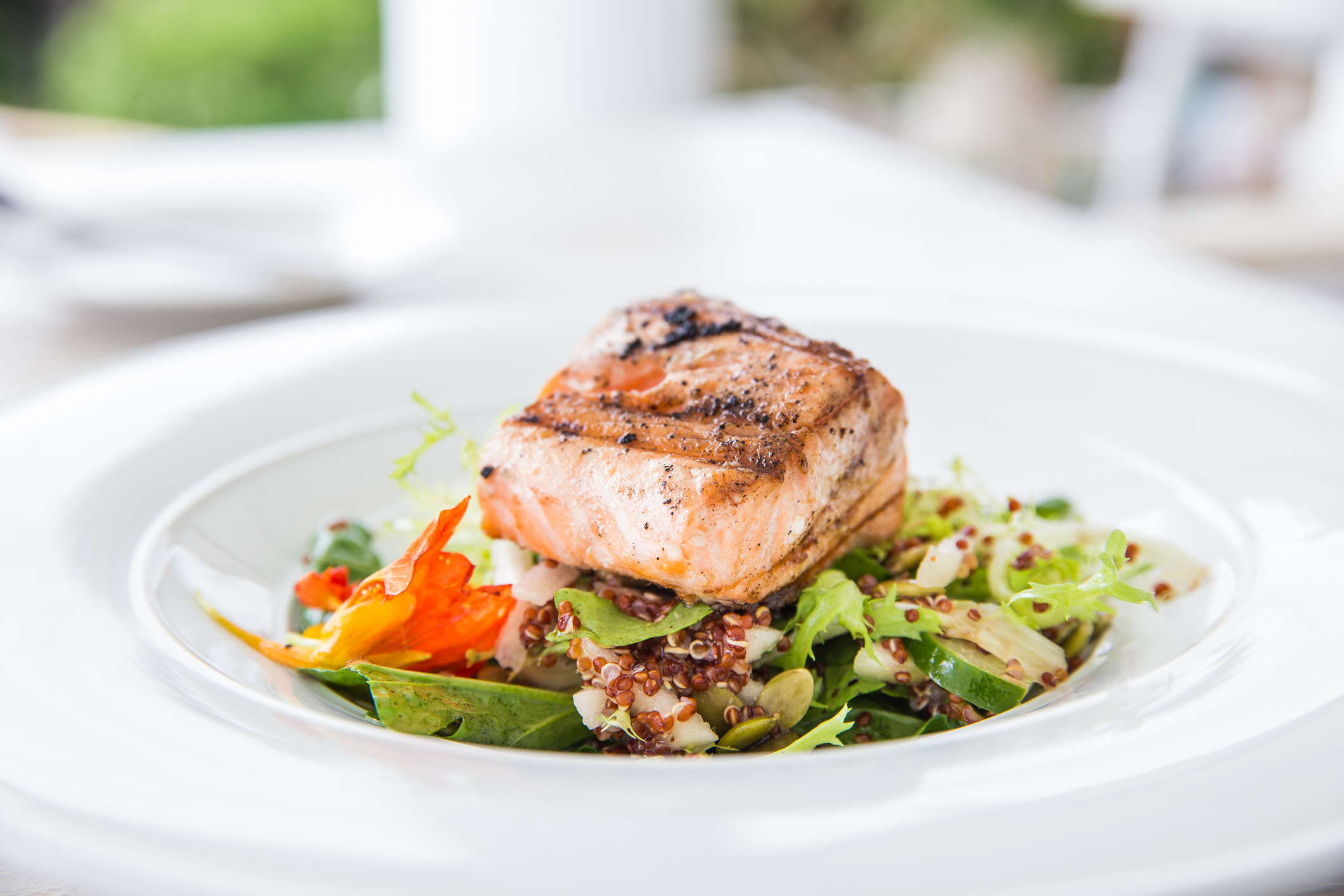 Grilled salmon served over a fresh quinoa salad with leafy greens, cucumber, pepitas, and colorful vegetables on a white plate.